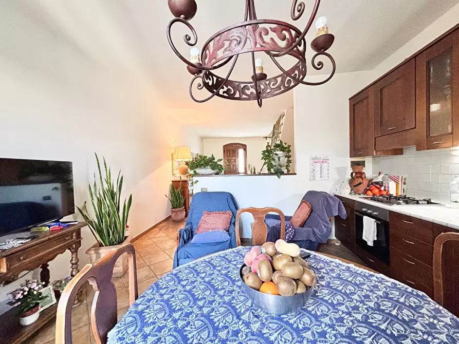 Immagine 21 di Terratetto in vendita  a Empoli