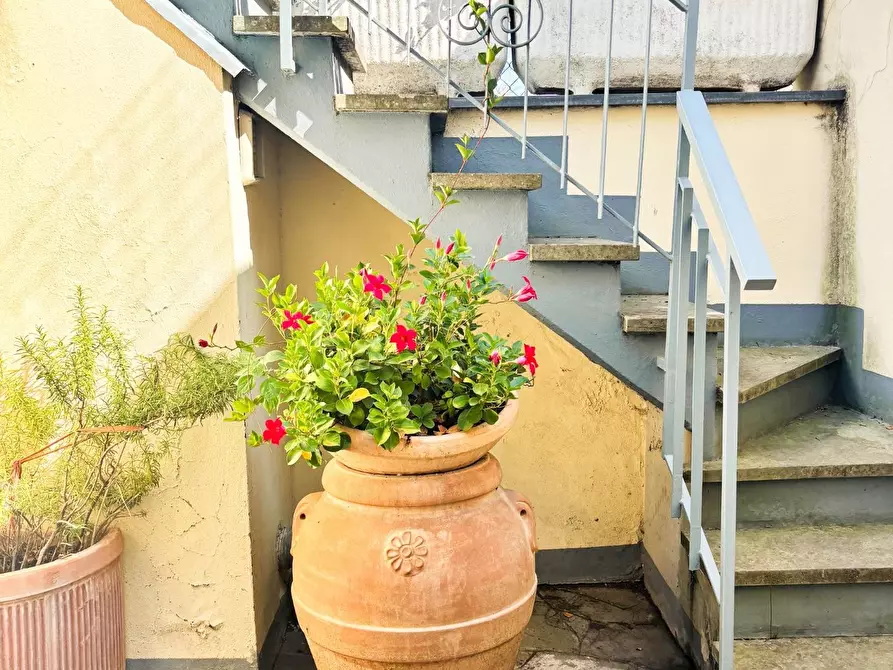 Immagine 37 di Terratetto in vendita  a Empoli