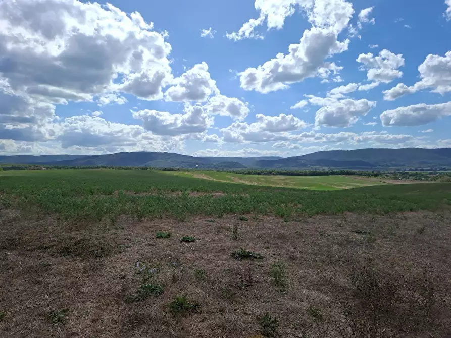 Immagine 4 di Terreno agricolo in vendita  a Sovicille