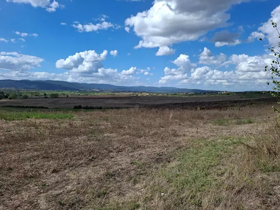 Immagine 2 di Terreno agricolo in vendita  a Sovicille