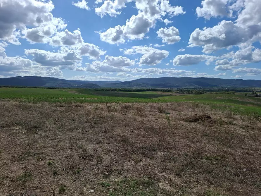 Immagine 3 di Terreno agricolo in vendita  a Sovicille