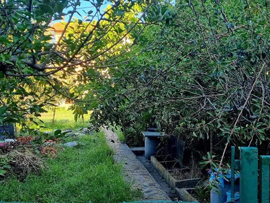 Immagine 32 di Casa bifamiliare in vendita  a Pisa