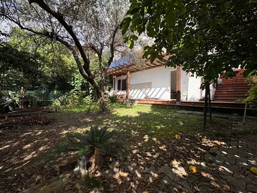 Immagine 2 di Appartamento in vendita  a Massa