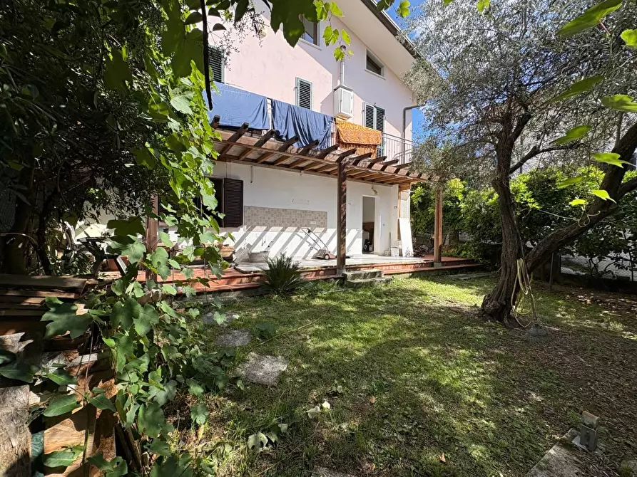 Immagine 3 di Appartamento in vendita  a Massa