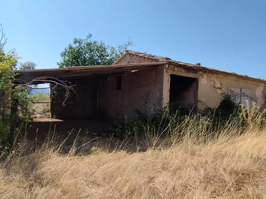 Immagine 3 di Azienda agricola in vendita  a Campagnatico