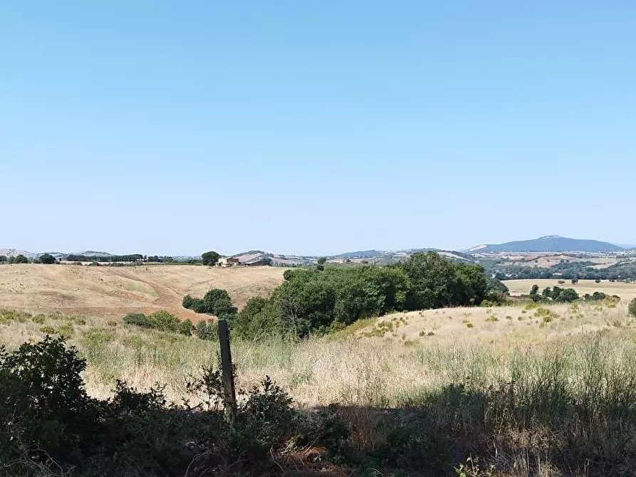Immagine 8 di Azienda agricola in vendita  a Campagnatico