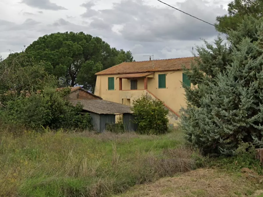 Immagine 14 di Azienda agricola in vendita  a Campagnatico
