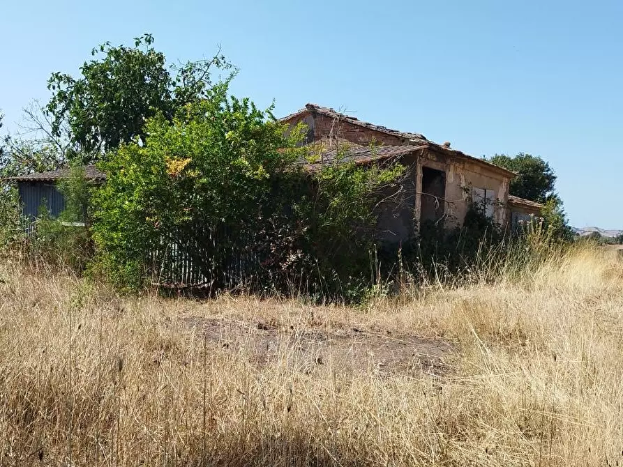 Immagine 2 di Azienda agricola in vendita  a Campagnatico