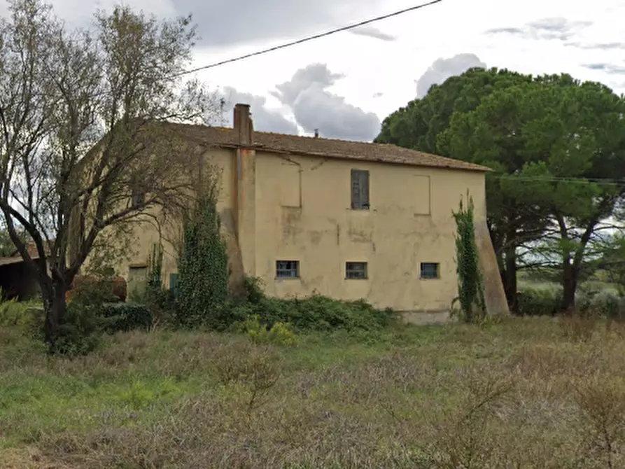 Immagine 15 di Azienda agricola in vendita  a Campagnatico