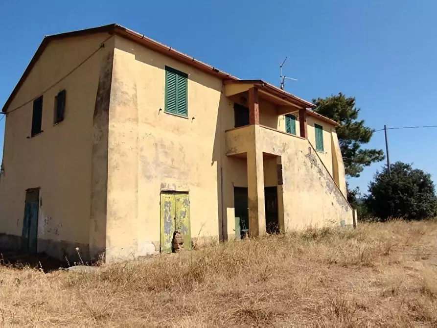 Immagine 4 di Azienda agricola in vendita  a Campagnatico