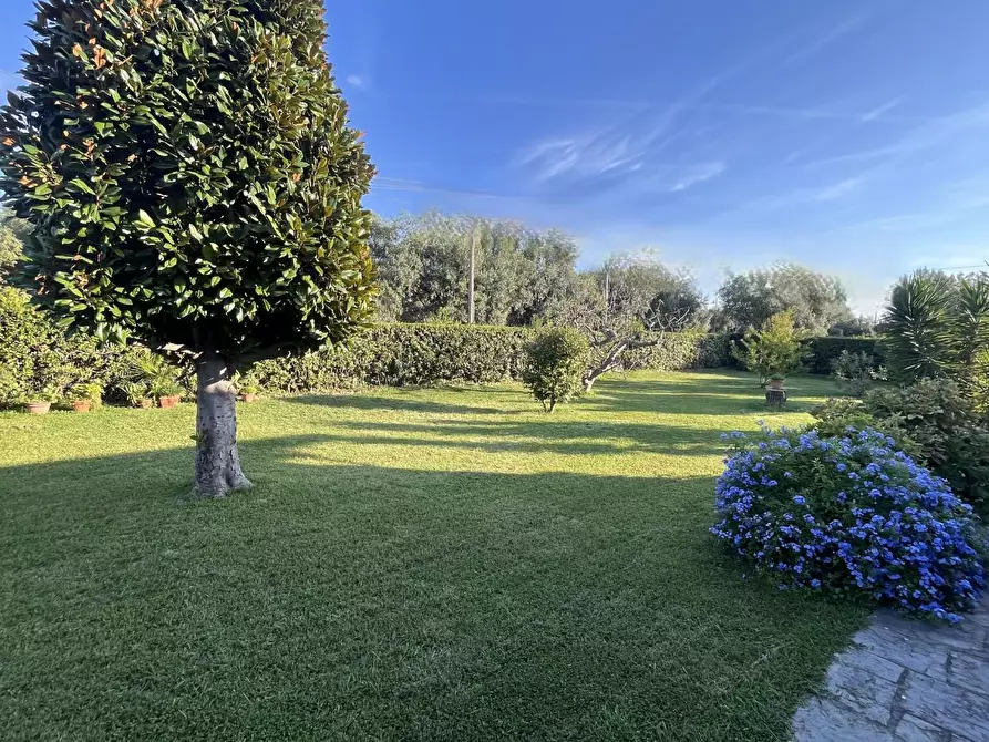 Immagine 2 di Villa in vendita  a Seravezza