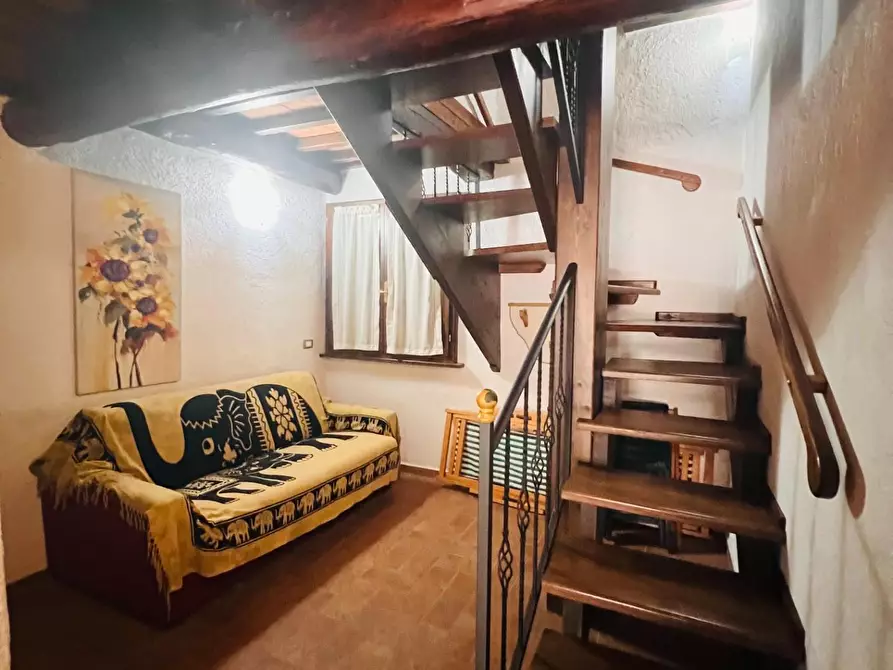 Immagine 20 di Appartamento in vendita  a Castagneto Carducci