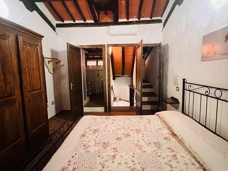 Immagine 24 di Appartamento in vendita  a Castagneto Carducci