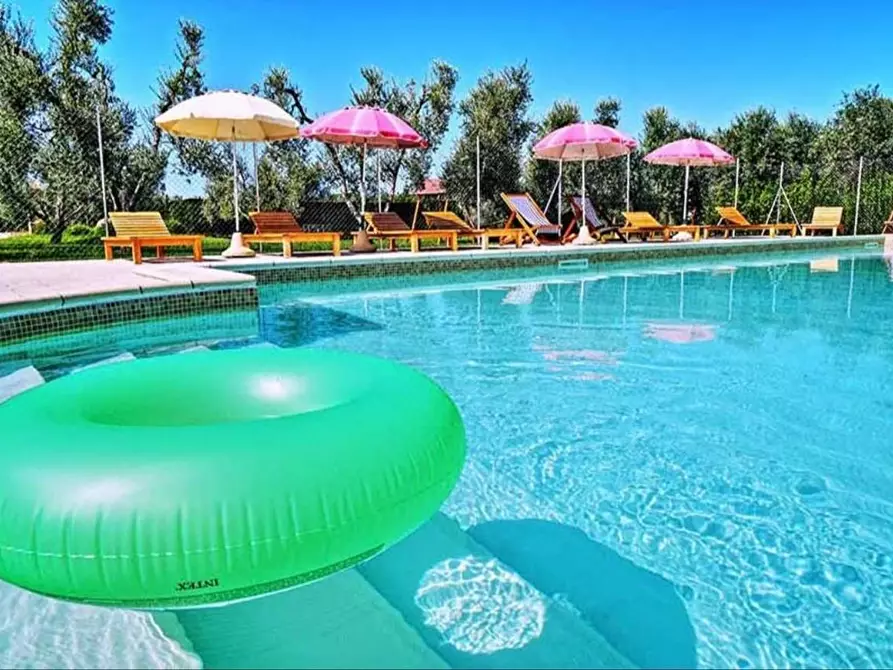 Immagine 26 di Appartamento in vendita  a Castagneto Carducci