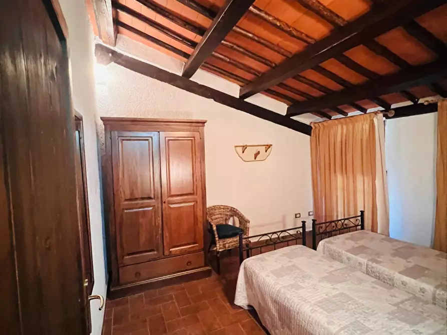 Immagine 7 di Appartamento in vendita  a Castagneto Carducci