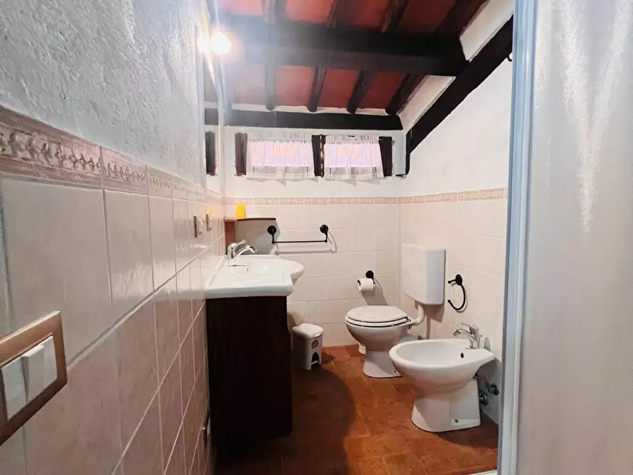 Immagine 9 di Appartamento in vendita  a Castagneto Carducci