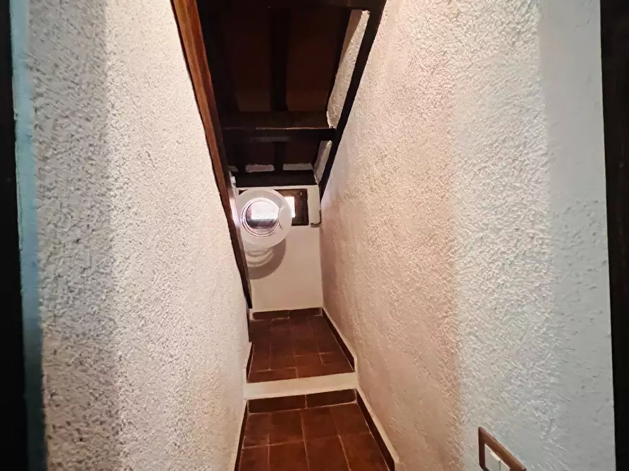 Immagine 23 di Appartamento in vendita  a Castagneto Carducci