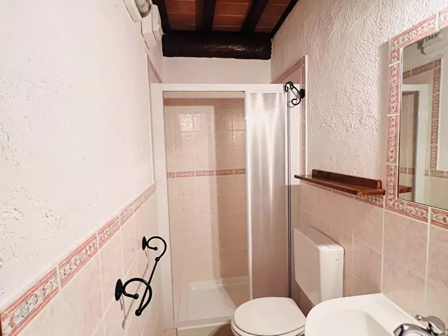 Immagine 12 di Appartamento in vendita  a Castagneto Carducci