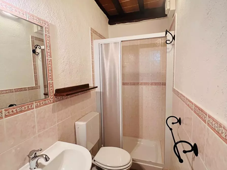 Immagine 19 di Appartamento in vendita  a Castagneto Carducci