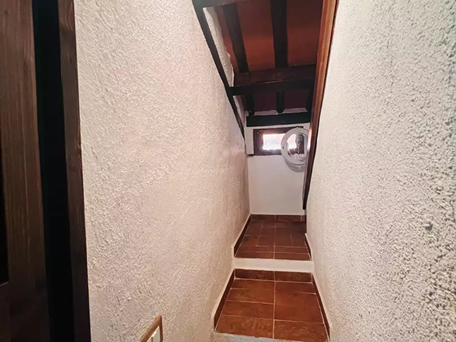 Immagine 10 di Appartamento in vendita  a Castagneto Carducci