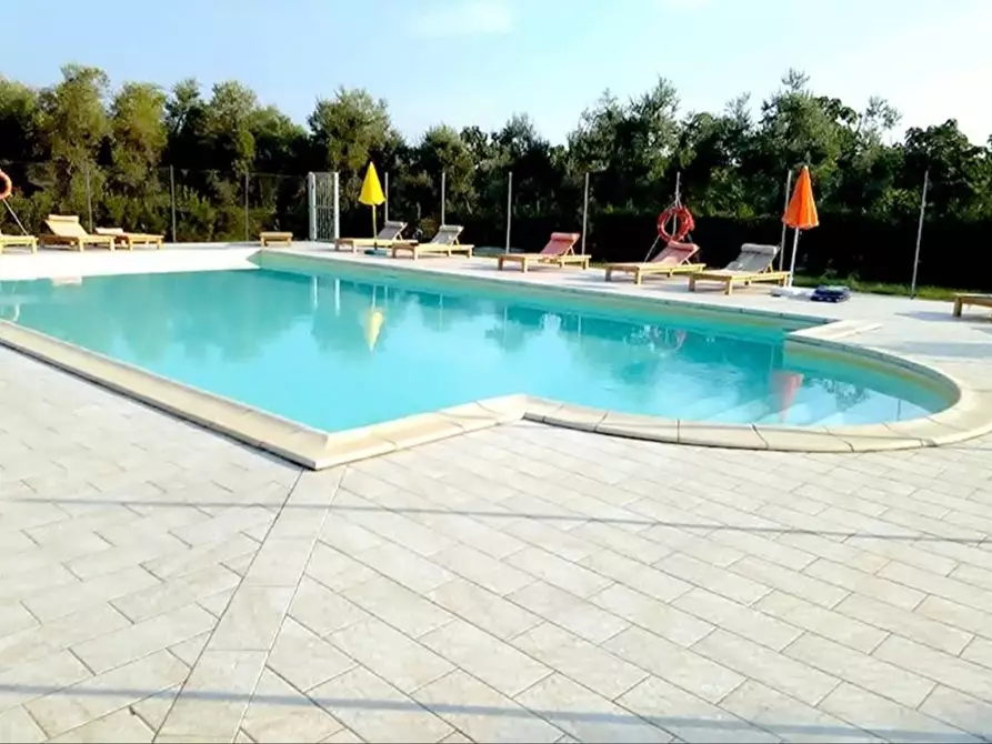 Immagine 25 di Appartamento in vendita  a Castagneto Carducci