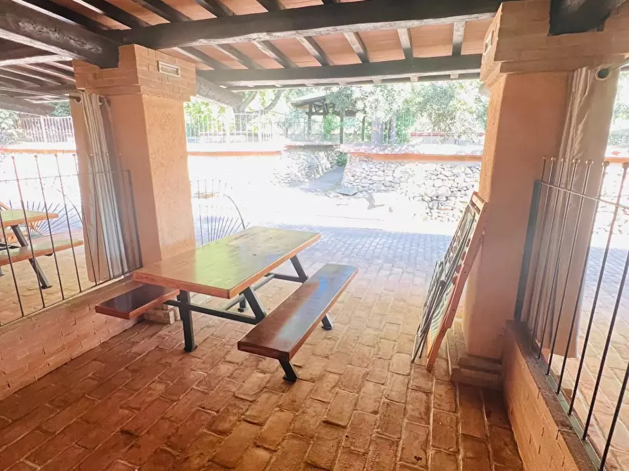 Immagine 15 di Appartamento in vendita  a Castagneto Carducci