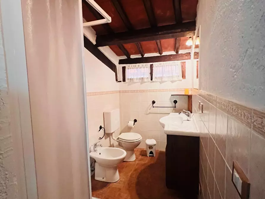 Immagine 22 di Appartamento in vendita  a Castagneto Carducci