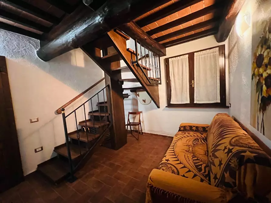 Immagine 6 di Appartamento in vendita  a Castagneto Carducci