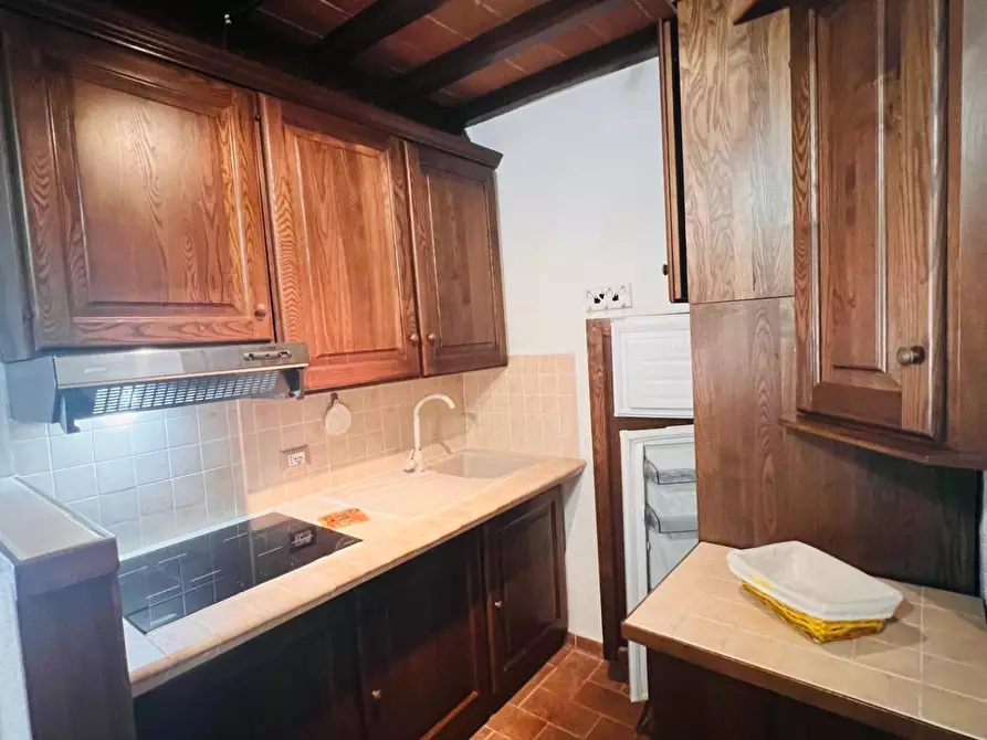 Immagine 18 di Appartamento in vendita  a Castagneto Carducci