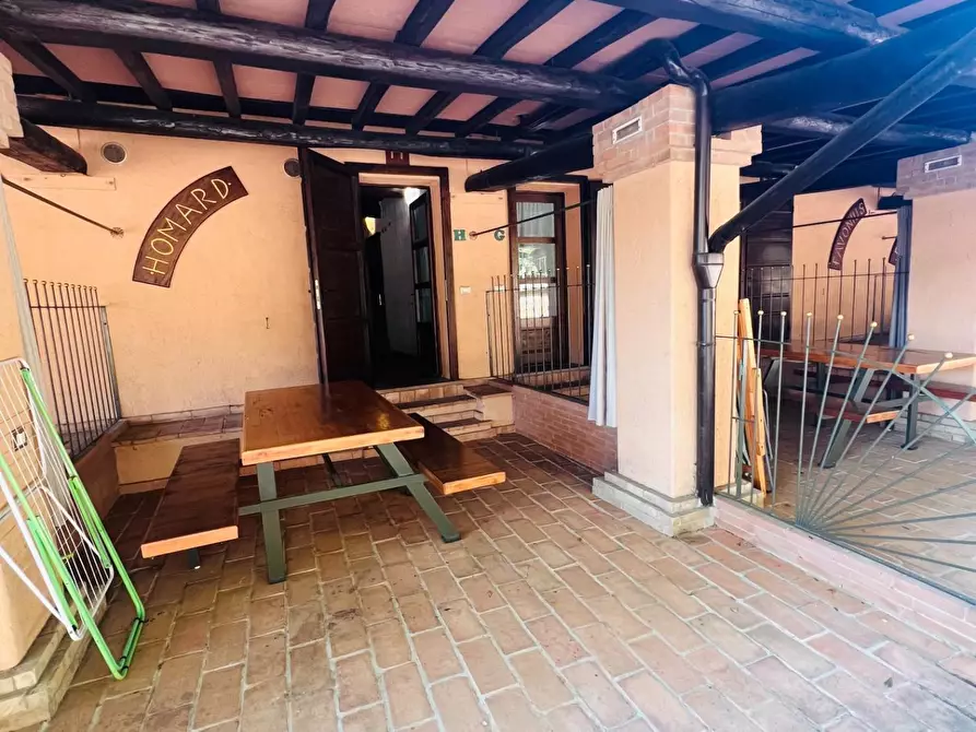 Immagine 17 di Appartamento in vendita  a Castagneto Carducci