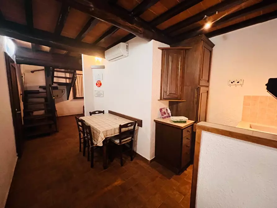 Immagine 13 di Appartamento in vendita  a Castagneto Carducci