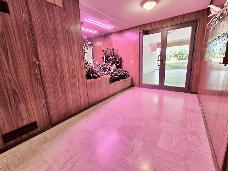 Immagine 44 di Appartamento in vendita  a Pisa