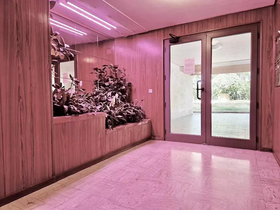 Immagine 43 di Appartamento in vendita  a Pisa