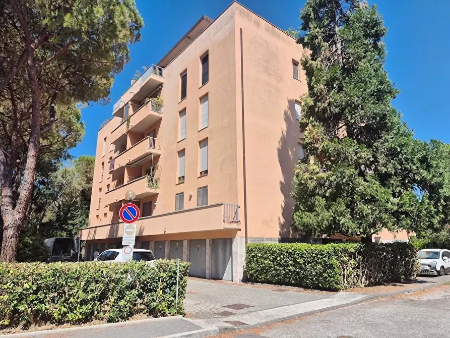 Immagine 42 di Appartamento in vendita  a Pisa