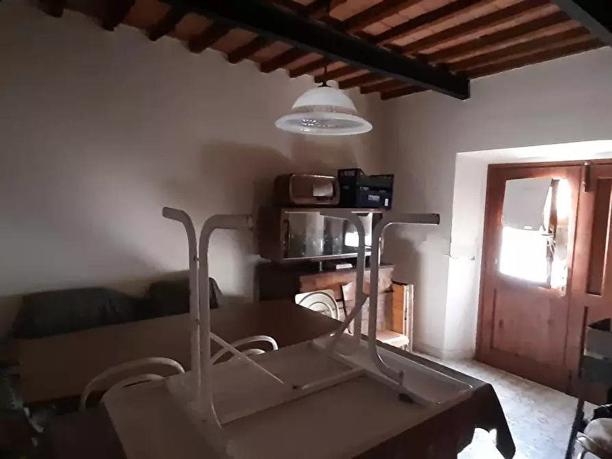 Immagine 19 di Terratetto in vendita  a Santa Luce