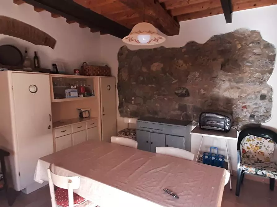 Immagine 15 di Terratetto in vendita  a Santa Luce