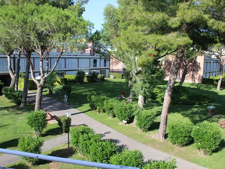 Immagine 14 di Appartamento in vendita  a Bibbona