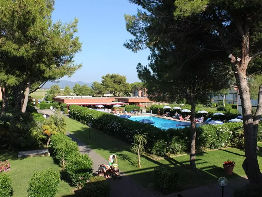 Immagine 13 di Appartamento in vendita  a Bibbona