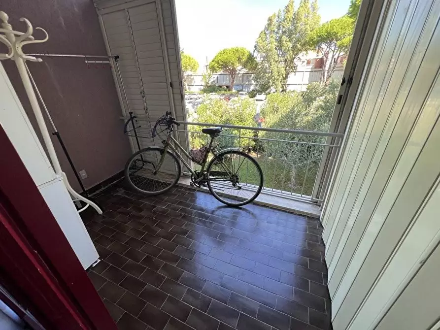 Immagine 7 di Appartamento in vendita  a Bibbona