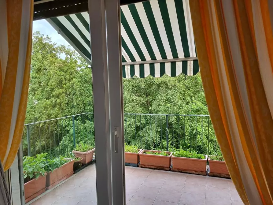 Immagine 9 di Appartamento in vendita  a Massa