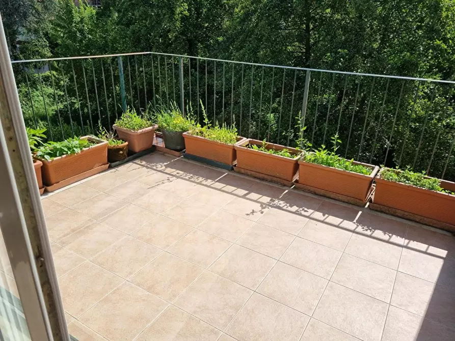 Immagine 10 di Appartamento in vendita  a Massa