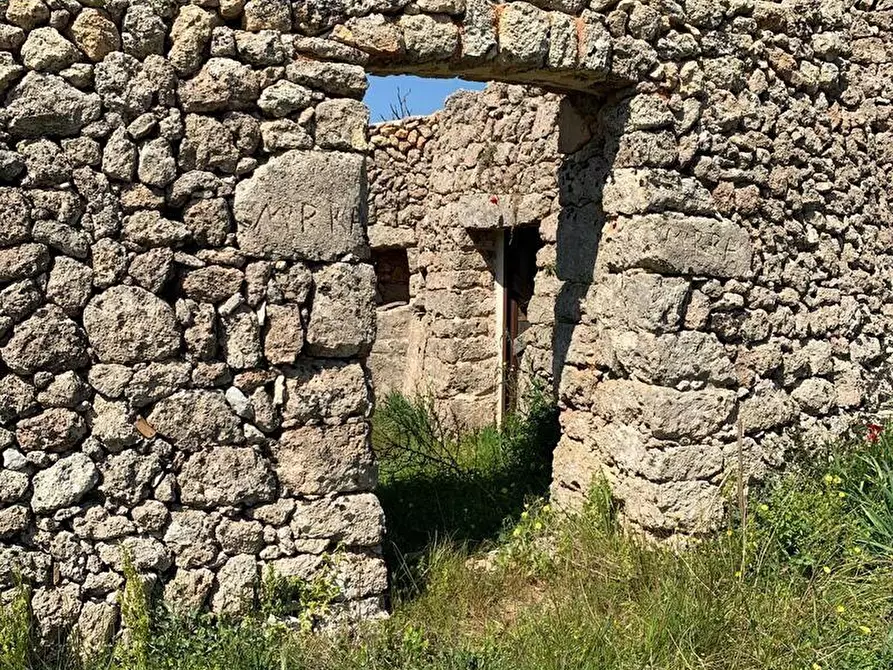 Immagine 5 di Terreno agricolo in vendita  a Alessano