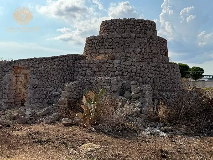 Immagine 33 di Terreno agricolo in vendita  a Alessano