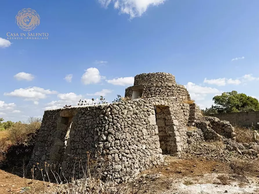Immagine 23 di Terreno agricolo in vendita  a Alessano