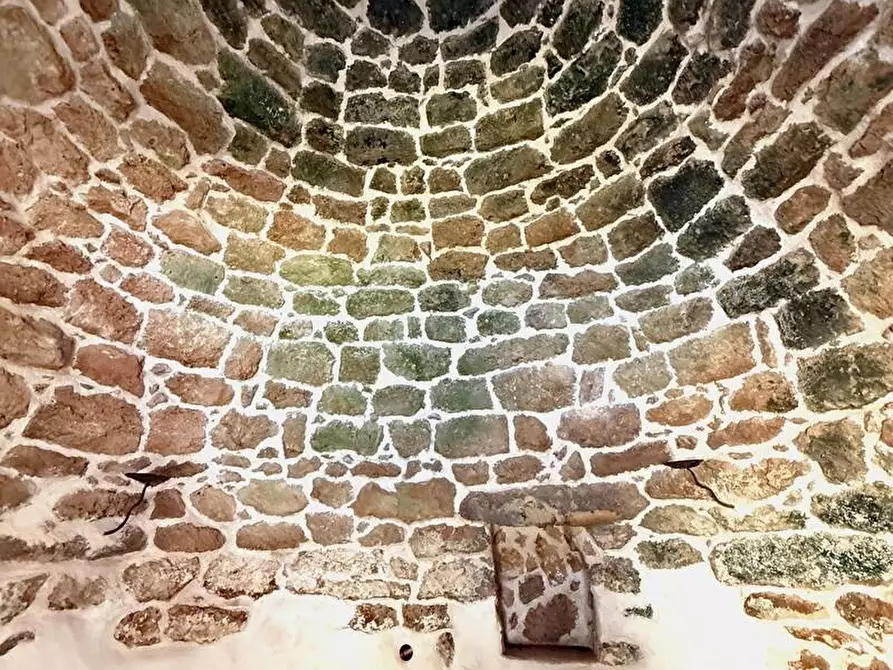 Immagine 20 di Terreno agricolo in vendita  a Alessano