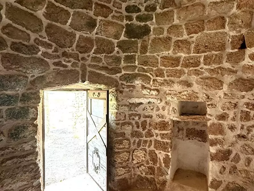 Immagine 19 di Terreno agricolo in vendita  a Alessano