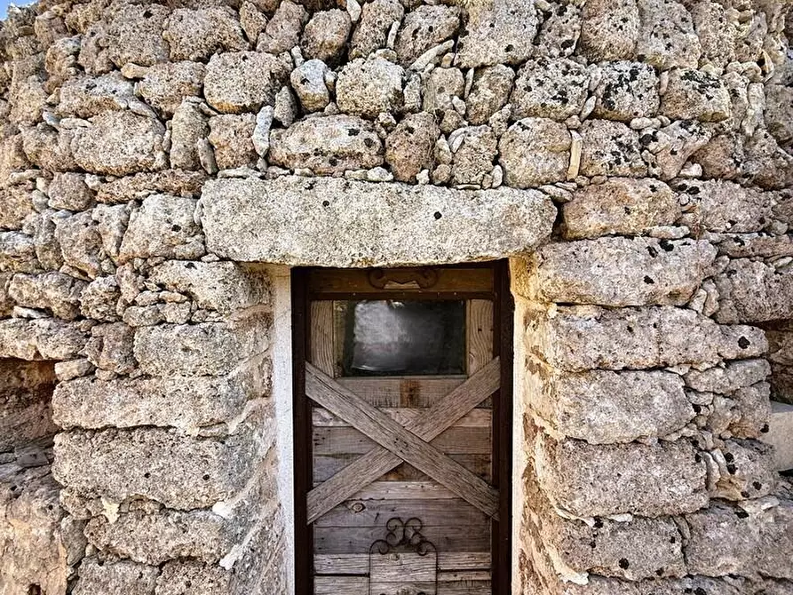 Immagine 15 di Terreno agricolo in vendita  a Alessano