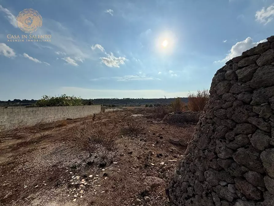 Immagine 30 di Terreno agricolo in vendita  a Alessano