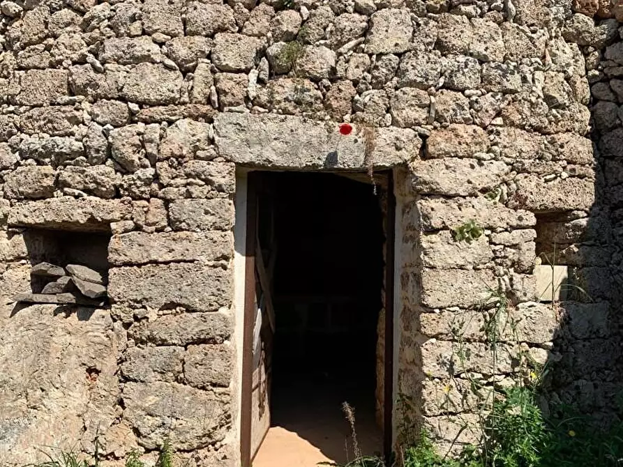 Immagine 4 di Terreno agricolo in vendita  a Alessano