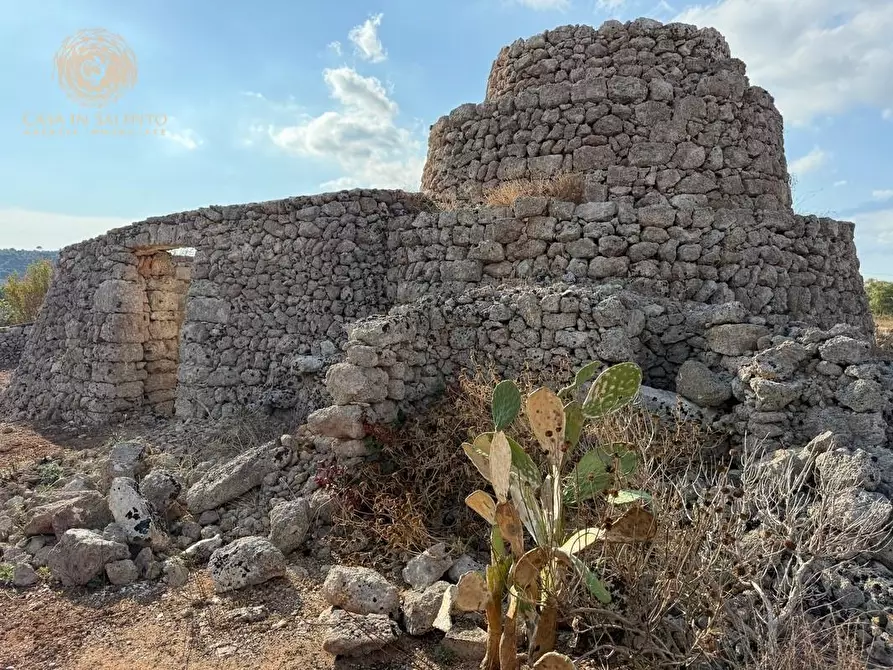 Immagine 35 di Terreno agricolo in vendita  a Alessano